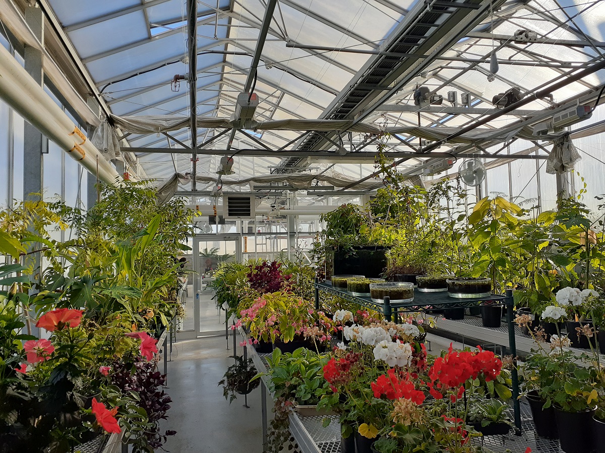 Botany Greenhouse