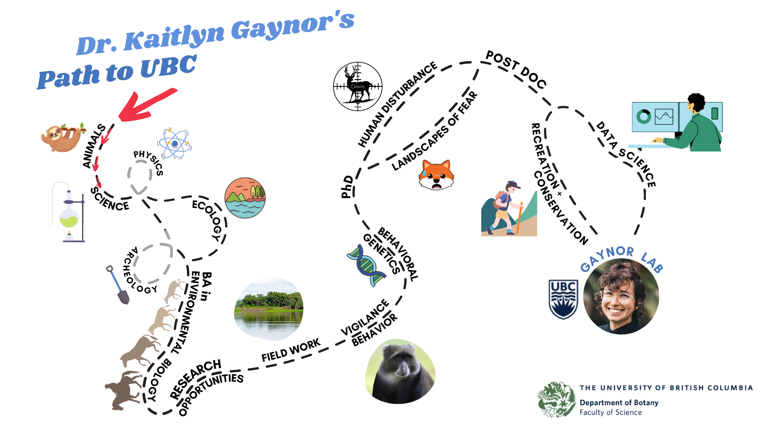timeline of Gaynor's time as a scientist