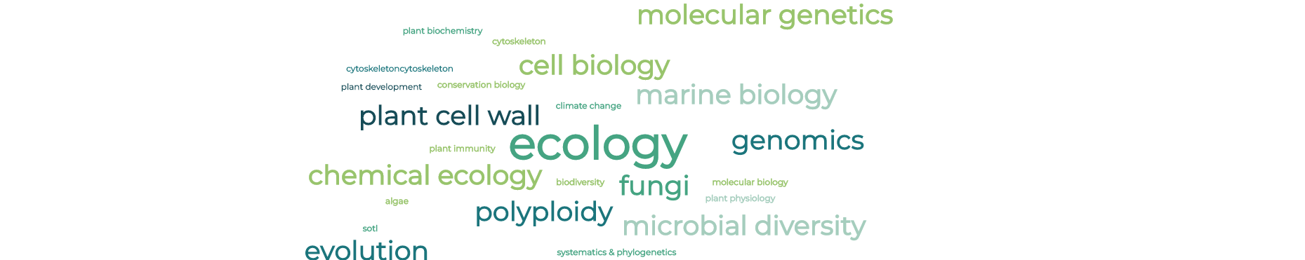 Research areas wordcloud