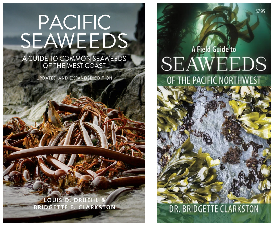 pacific seaweed book and pamphlet cover