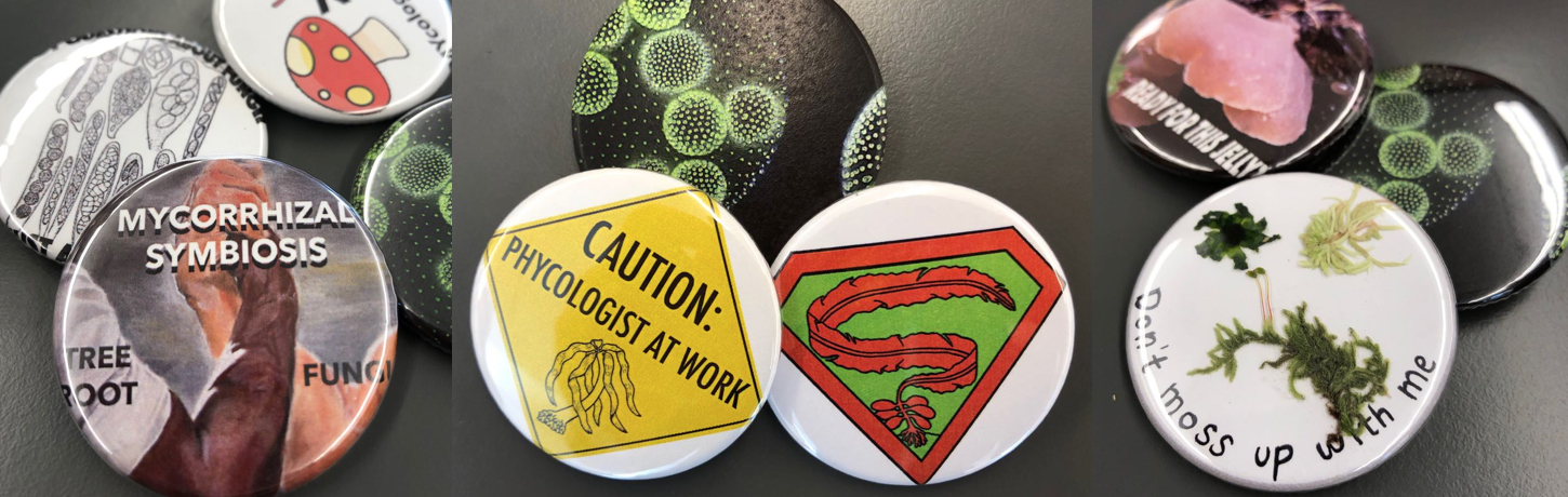 Buttons made by biol 209 students during an arts-meets-science lab activity