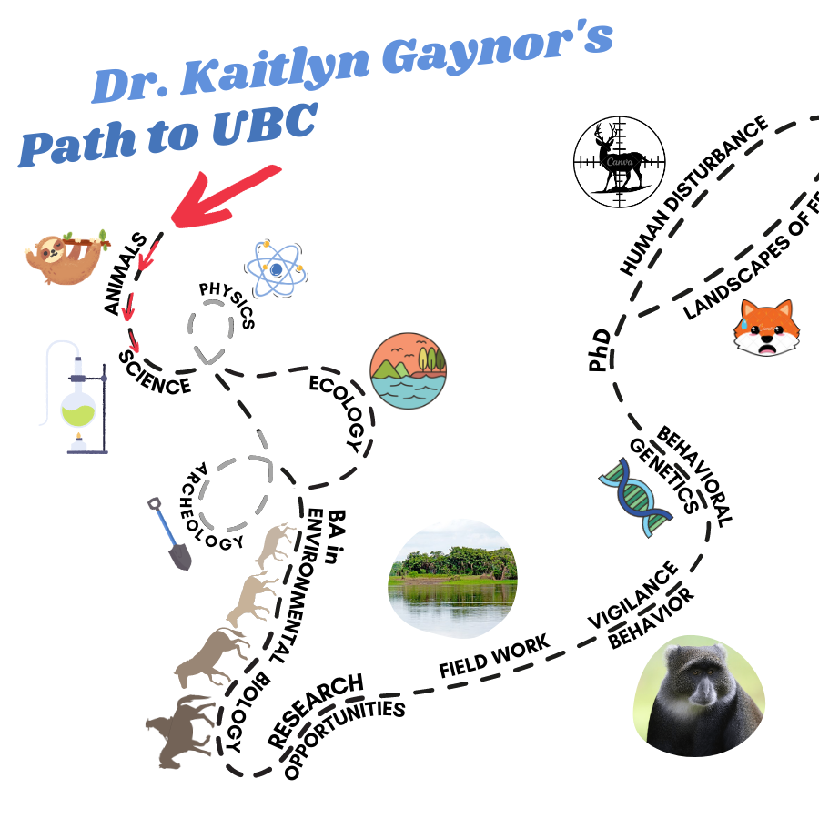 timeline of Gaynor's time as a scientist